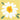 Creative Converting - Serviettes a cocktail (16) - Marguerite (Desy) - Party Shop