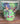 Party Shop - Verres En Carton (10) - Sonic - Party Shop
