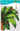 Beistle Co. - Palmier articulé - 1,8 m - Party Shop