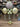 PARTY SHOP - Centre De Table #61- Mariage - Party Shop
