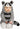 FUN WORLD - Costume Bébé - Raton Laveur - Party Shop