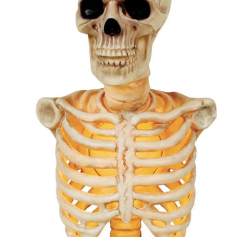Décoration D’Halloween : Buste De Squelette Illuminé Et Son 16Po - Party Shop