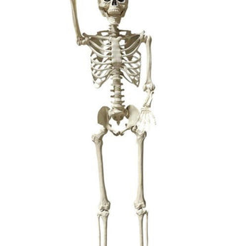 Décoration D'Halloween : Squelette Réaliste Titan - Party Shop