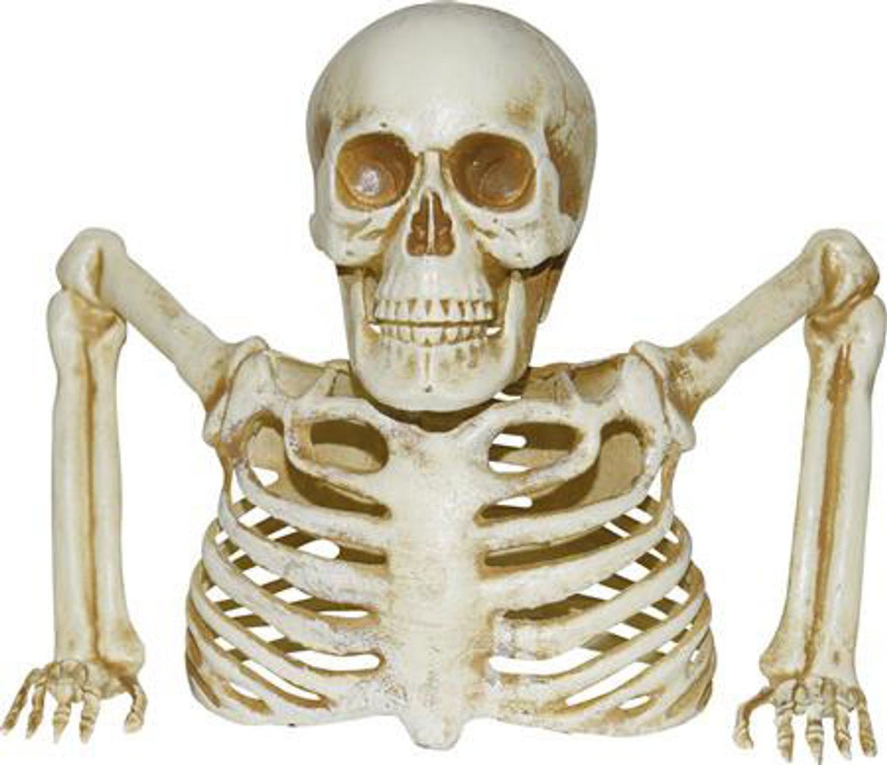 Décoration Halloween : Squelette Pour Le Sol 8Po - Party Shop