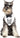 Amscan - Foulard Chien D'Honneur- Mariage - Party Shop