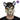 Half rat foam mask one size. Scary Halloween costume accessory for cosplay, carnival or horror party. Lightweight and realistic design - MOM - Party Shop