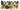 SKS - Kit De Party - Happy New Year Or Et Noir - 10 Personnes - Party Shop