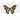 RUBIES - Masque De Papillon Noir Et Or - Party Shop