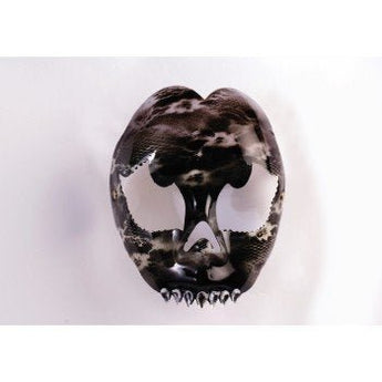 Masque En Plastique - Squelette Aux Dents De Diamant - Party Shop