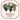 Santex - Serviettes De Table - Viticole (20) - Party Shop