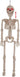 Seasons LTD - Squelette Animé Pré-éclairé Suspendu - Party Shop