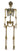 Seasons LTD - Squelette Couleur Doré de 5 Pied - Party Shop