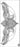 TINSLEY - Tatouage Temporaire - Beauty Bone Mandala - Party Shop