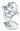 TINSLEY - Tatouage Temporaire - Squelette - Party Shop