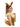 Disguise - Kit d'accessoires Adulte - Eevee - Pokemon - Party Shop