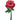 Anagram - Ballon Mylar Multishape - Rose Rouge - Party Shop