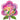 Anagram - Ballon Mylar Supershape - Fleur Fée Clochette - Party Shop