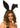 Leg Avenue - Serre Tête - Oreille De Lapin En Velour - Party Shop
