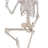 SUNSTAR INDUSTRIES - 35in realistic skeleton decoration – spooky Halloween prop for haunted house, indoor & outdoor décor, scary parties and horror setups. - Party Shop