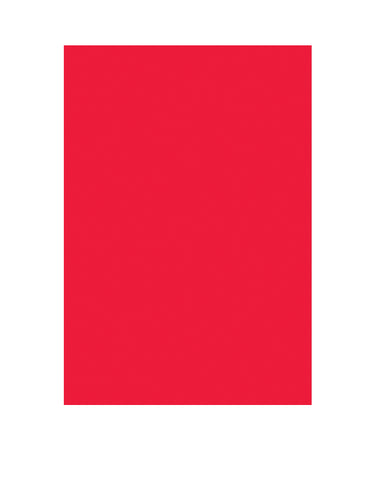 Unique - Papier D'Emballage Rouge Rubis - Party Shop
