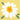 Creative Converting - Serviettes a cocktail (16) - Marguerite (Desy) - Party Shop
