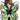 Ailes de papillon vertes ajustables pour adulte