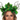 Couronne de fée avec bois de branches