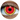 Verres de contact Primal - Phoenix