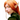Large Elf Ears - Woochie
