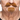 Set Barbe et Moustache Auburn/Brun