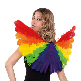 Ailes D'ange Arc en Ciel Party Shop