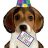 Betallic - Ballon Mylar Supershape - Chien en Fête - Party Shop