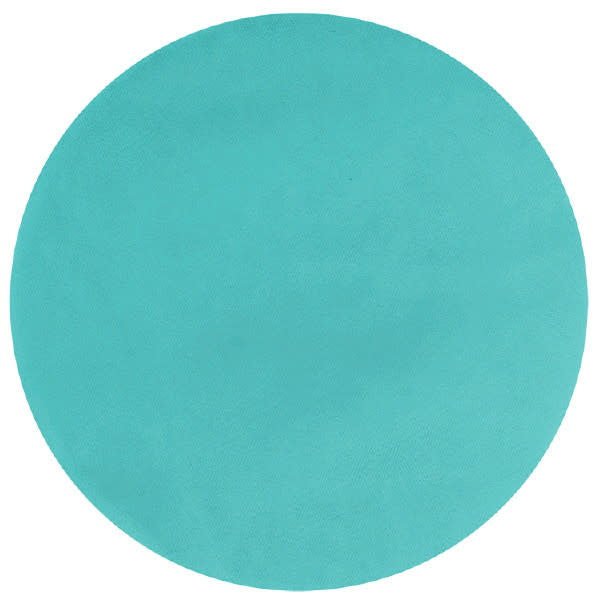 Cercles De Tulles 9" (50) - Turquoise Party Shop