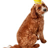 RUBIES - Chapeau Pour Chien - Pointe De Gâteau De Fête - Party Shop