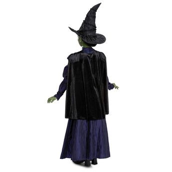 Costume Enfant Deluxe Elphaba de Wicked - Robe Mauve Party Shop