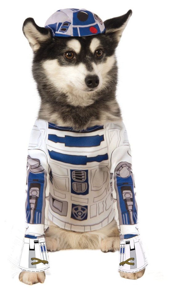 Costume Pour Chien - R2D2Party Shop