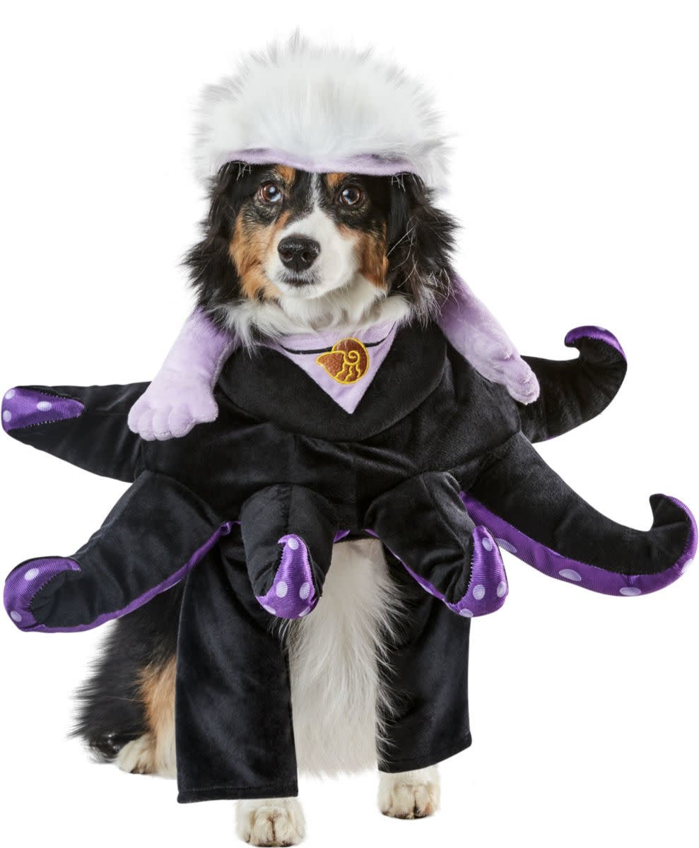 Costume Pour Chien - Ursula Party Shop