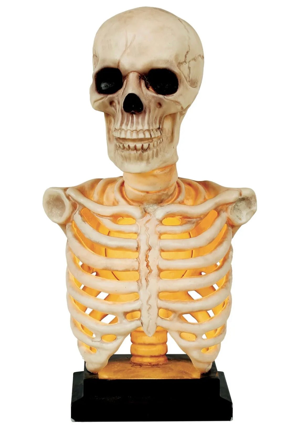 Décoration D’Halloween : Buste De Squelette Illuminé Et Son 16Po Party Shop