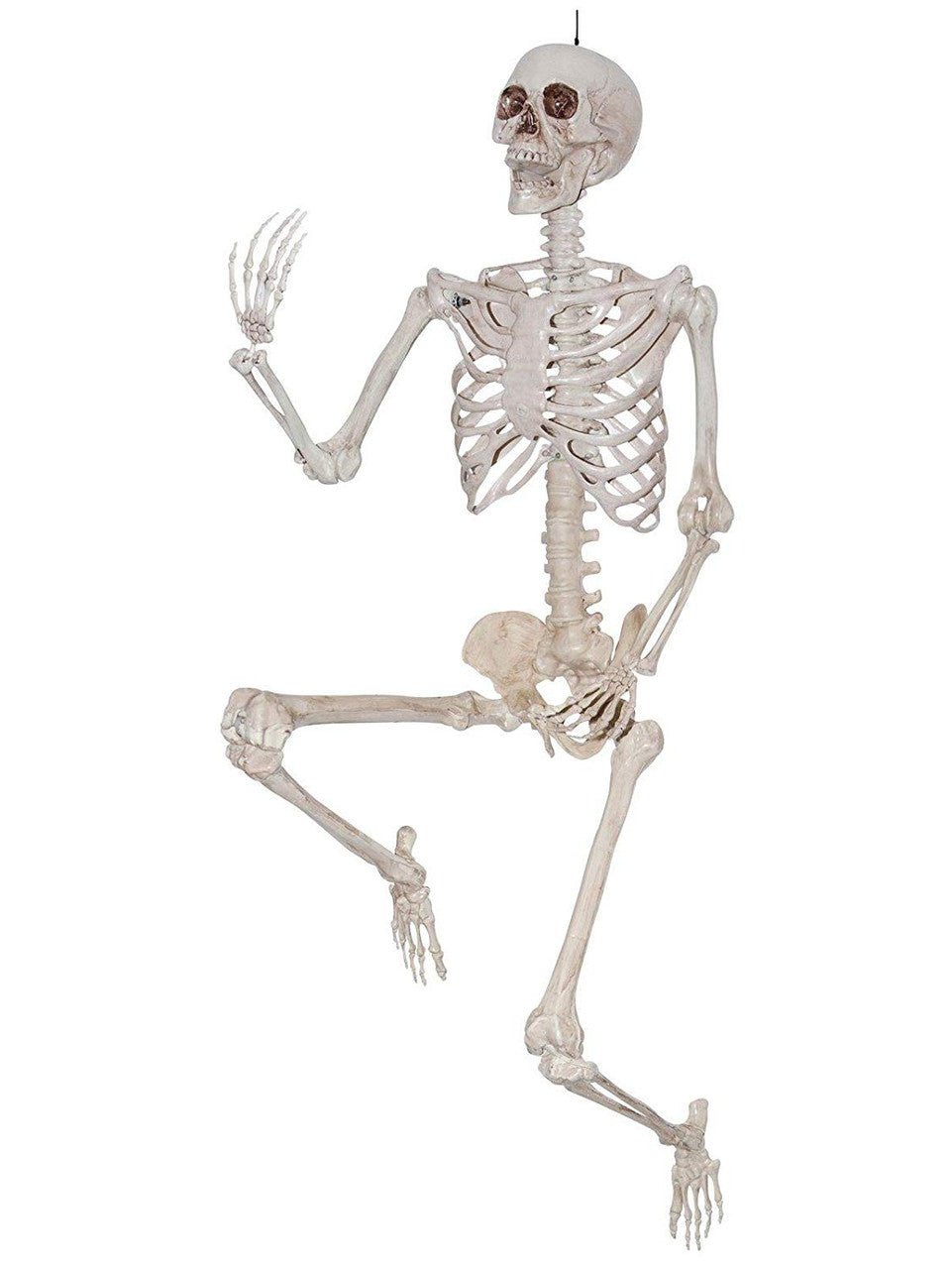 Décoration D'Halloween : Squelette Réaliste 60Po - Party Shop