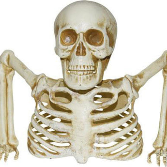 Décoration Halloween : Squelette Pour Le Sol 8Po - Party Shop