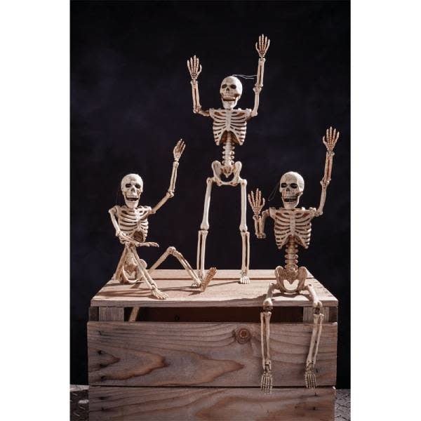 Décoration Halloween - Squelettes (12) Party Shop