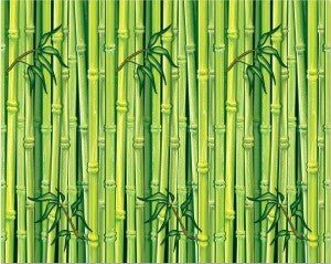 Décoration Murale (4'X30") - Bambou Party Shop