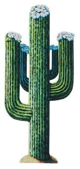 Découpe Cactus (4Pi) Party Shop