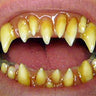 DENTAL DISTORSIONS - Dents Dental Distorsions - Morlock - Party Shop