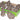 SUNSTAR INDUSTRIES - Faux Rat Brun - Party Shop