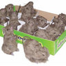 SUNSTAR INDUSTRIES - Faux Rat Brun - Party Shop