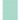 Creative Converting - Fond Mural Pour Photo (4.5'X6') - Motif Coquille Menthe - Party Shop