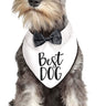 Amscan - Foulard Chien D'Honneur- Mariage - Party Shop