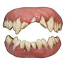 TINSLEY - Fx Veneers - Monster Teeth - Party Shop