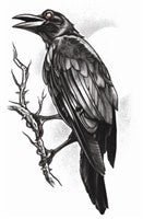 Goth Temp - Tatouage Corbeau - Party Shop